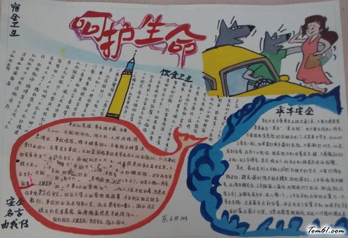 呵护生命手抄报版面设计图7