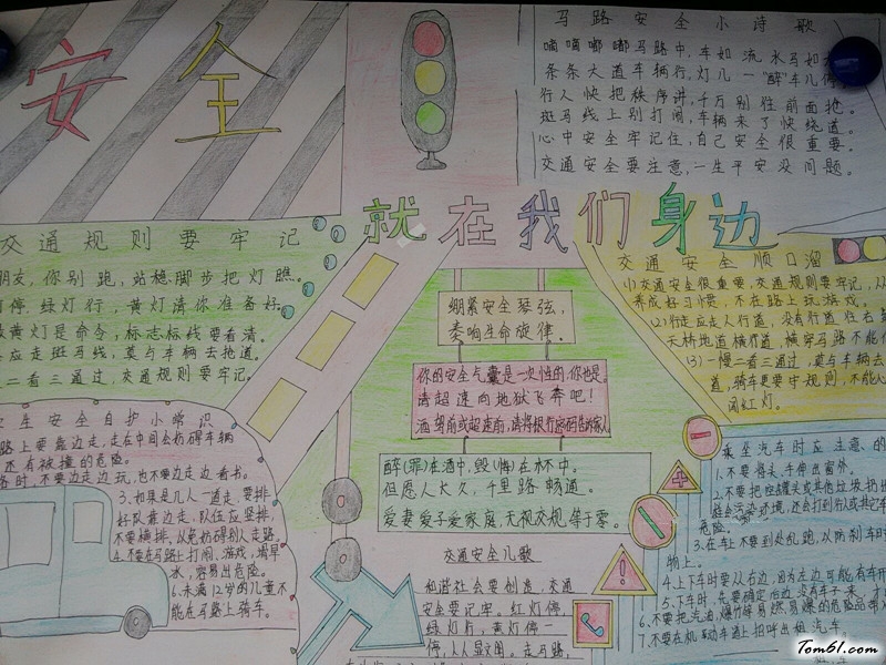 呵护生命手抄报版面设计图9