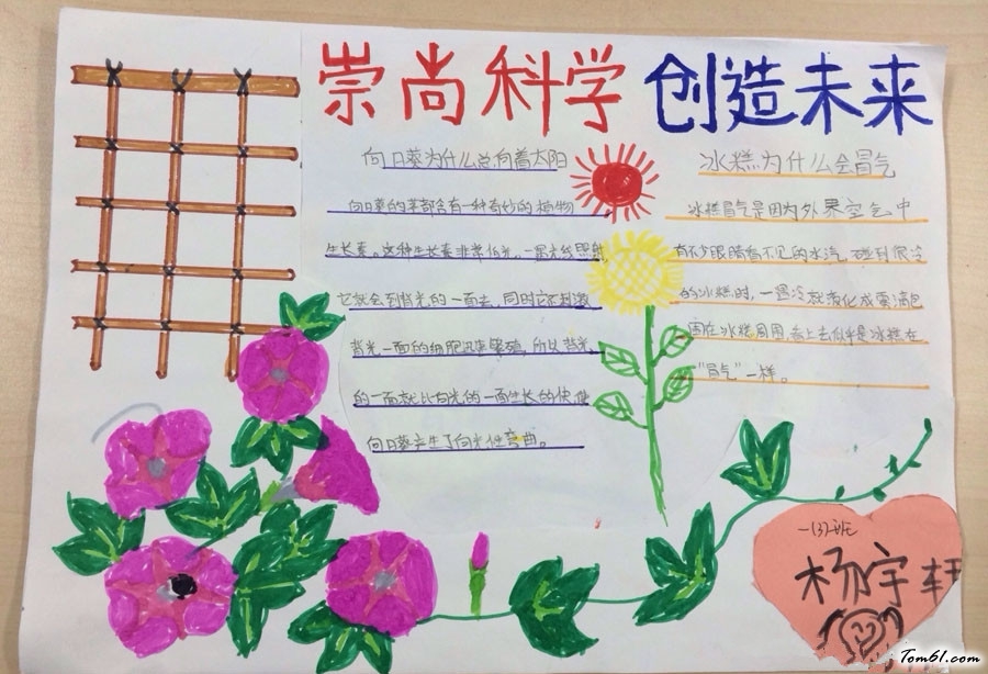 科学与生活手抄报版面设计图4