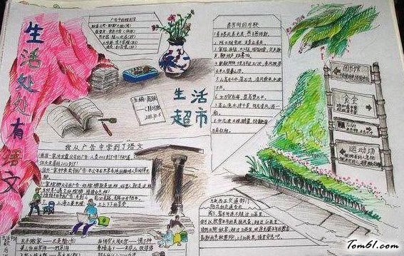 优秀手抄报版面设计图