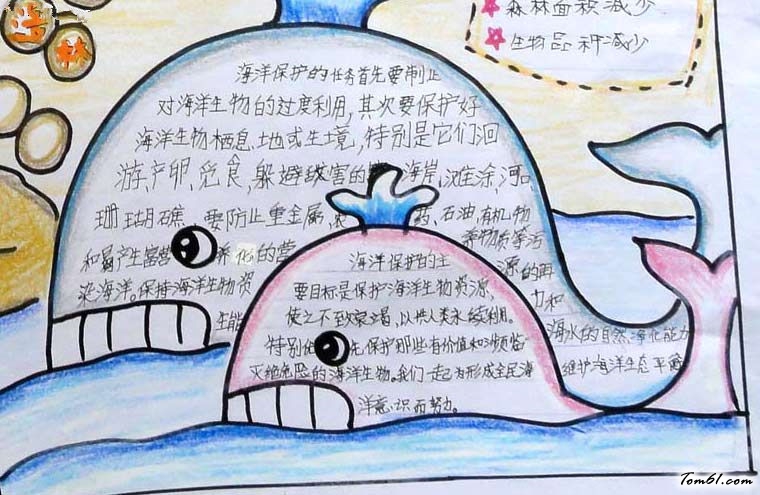 保护海洋手抄报版面设计图