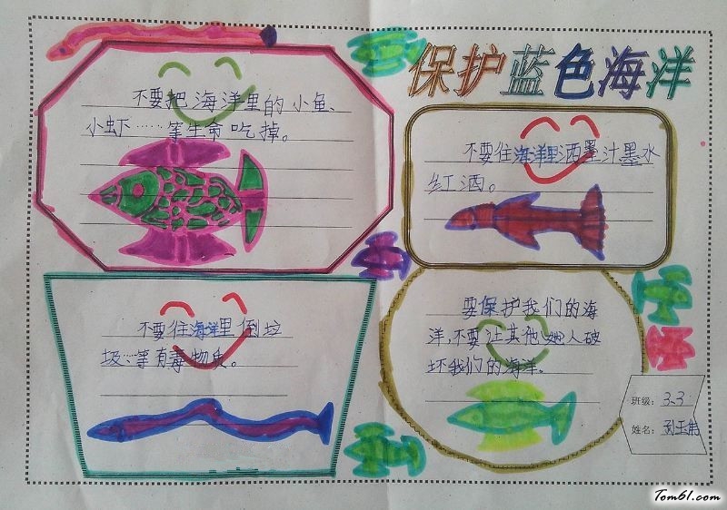 保护海洋手抄报版面设计图3