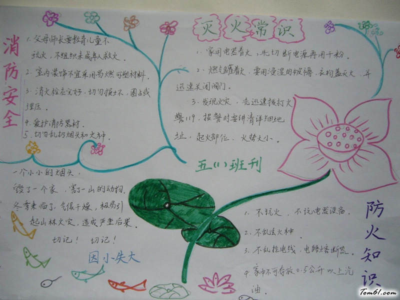 金融手抄报版面设计图3