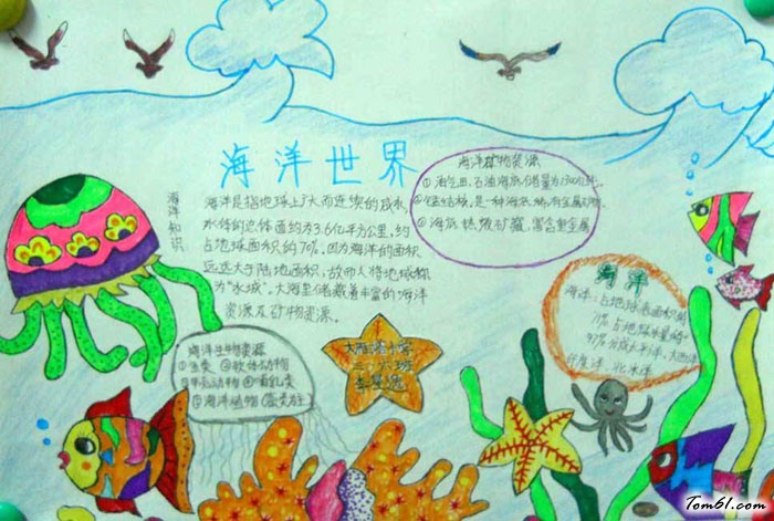 海底世界手抄报版面设计图3