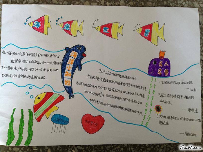 海底世界手抄报版面设计图4