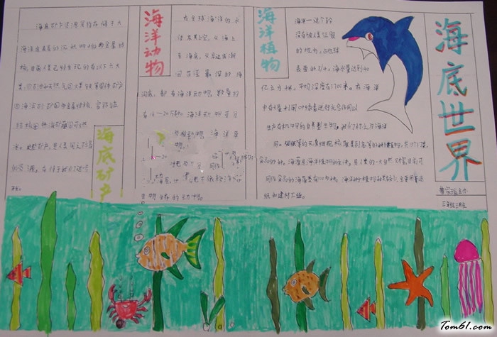 海底世界手抄报版面设计图5