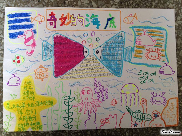 海底世界手抄报版面设计图6