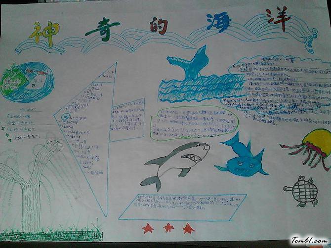 海底世界手抄报版面设计图7