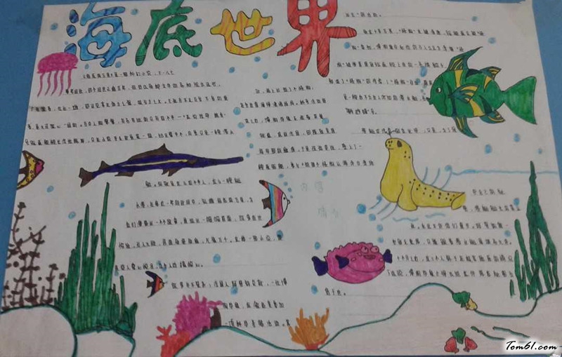 海底世界手抄报版面设计图8