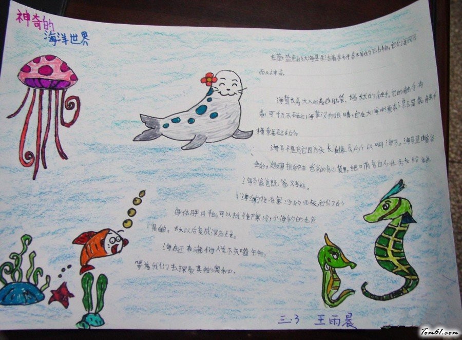 海底世界手抄报版面设计图10
