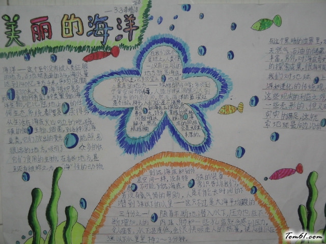 海底世界手抄报版面设计图11