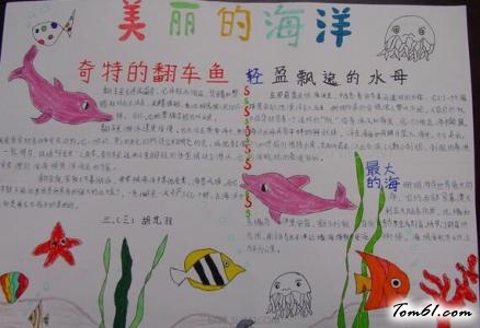 海底世界手抄报版面设计图13