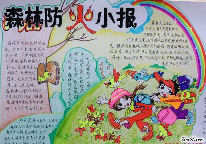 保护森林手抄报版面设计图4