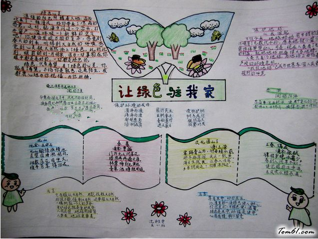 保护森林手抄报版面设计图5