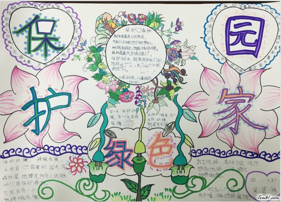 保护森林手抄报版面设计图6