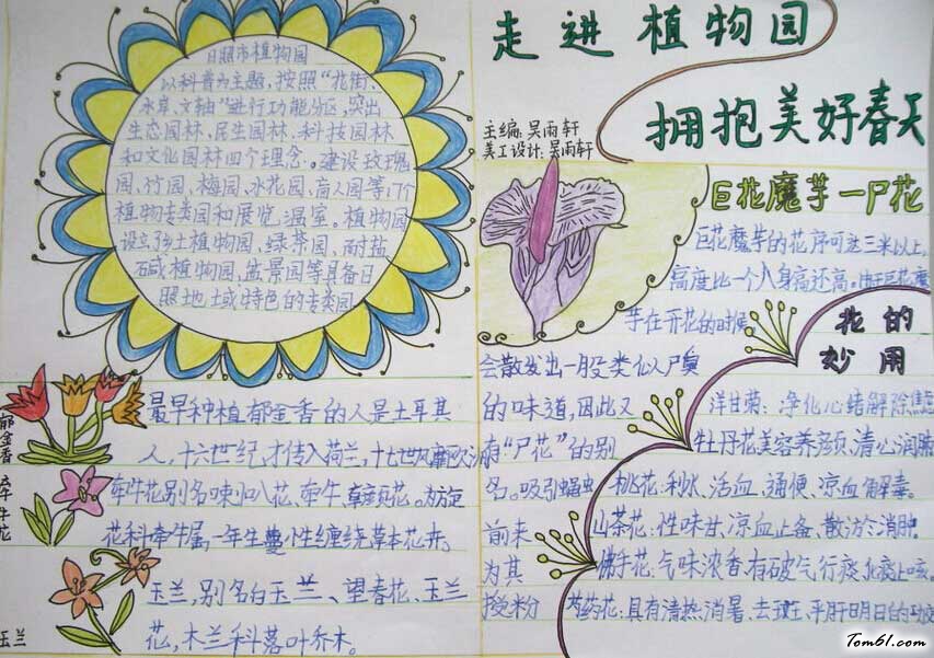 绿色植物手抄报版面设计图