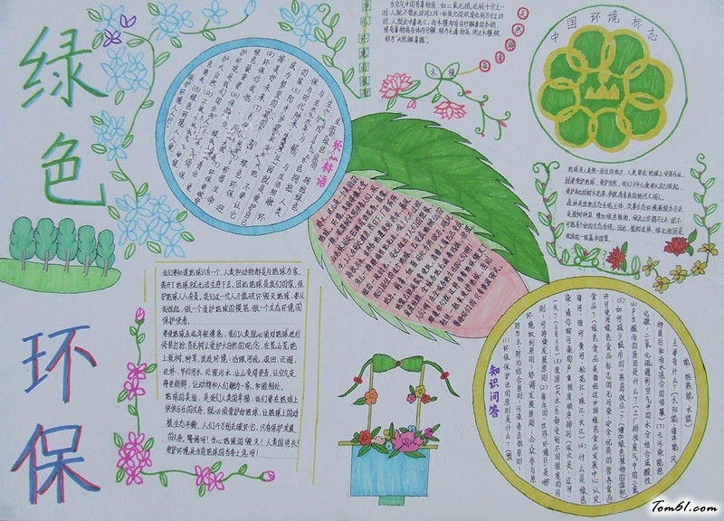 绿色植物手抄报版面设计图5