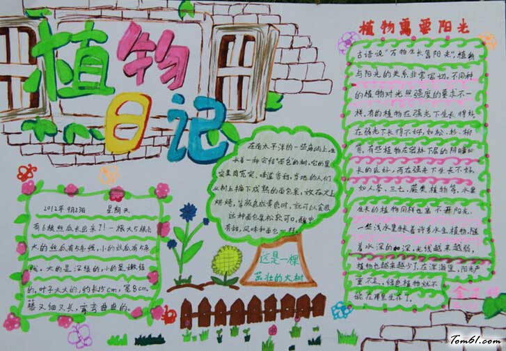绿色植物手抄报版面设计图6