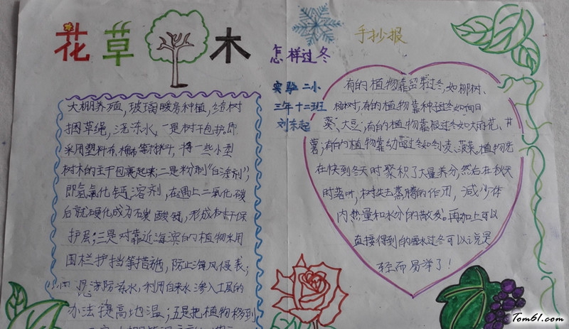 绿色植物手抄报版面设计图9