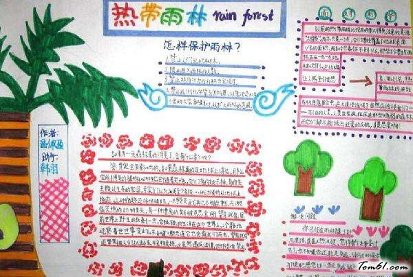 植物的手抄报版面设计图6