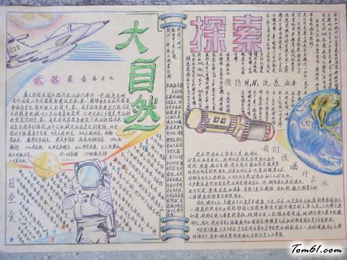 植物的手抄报版面设计图9