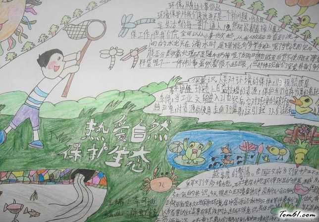 保护生态的手抄报版面设计图3