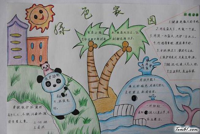 保护生态的手抄报版面设计图4