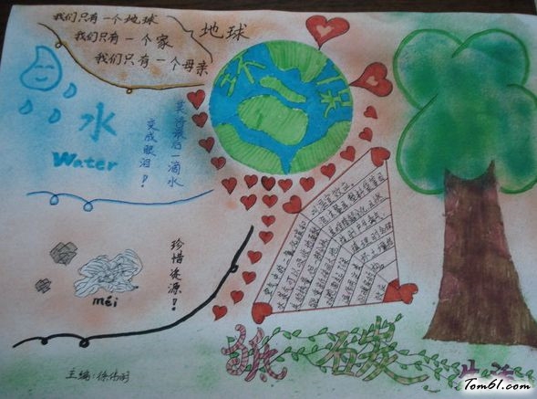 保护生态的手抄报版面设计图6