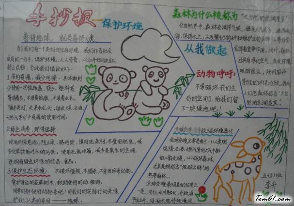 保护生态的手抄报版面设计图8