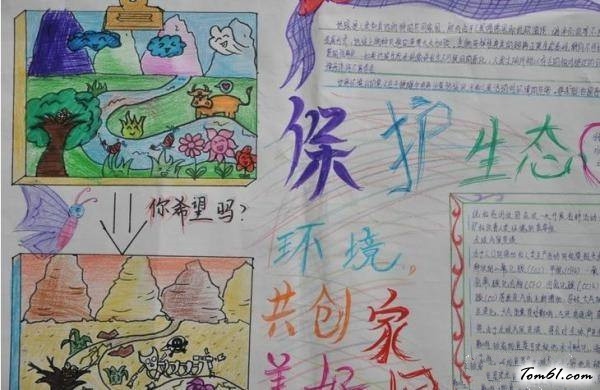 保护生态的手抄报版面设计图9