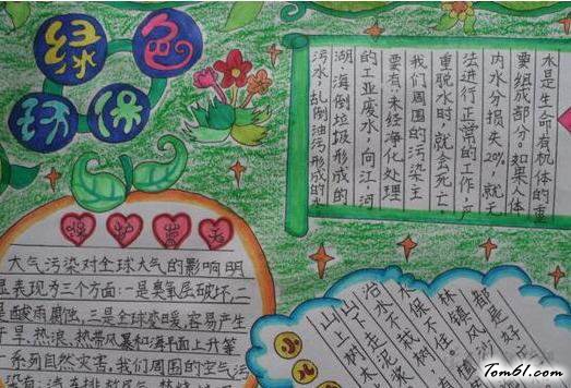 保护生态的手抄报版面设计图10