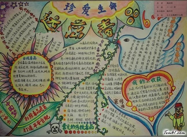 禁毒手抄报版面设计图4