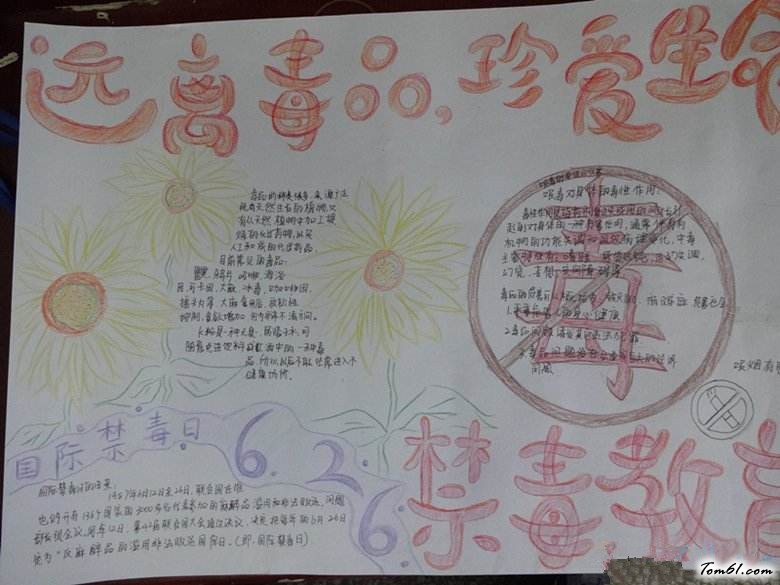 禁毒手抄报版面设计图5