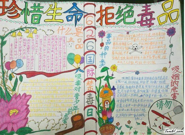 禁毒手抄报版面设计图8