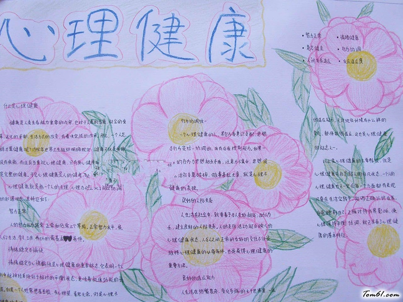 健康知识手抄报版面设计图5