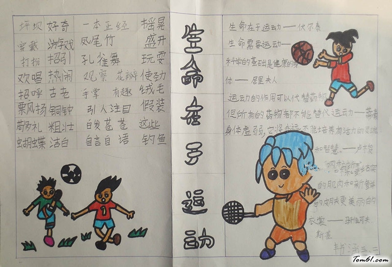 体育运动手抄报版面设计图7