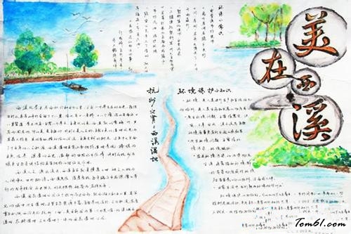 世界湿地日手抄报版面设计图3