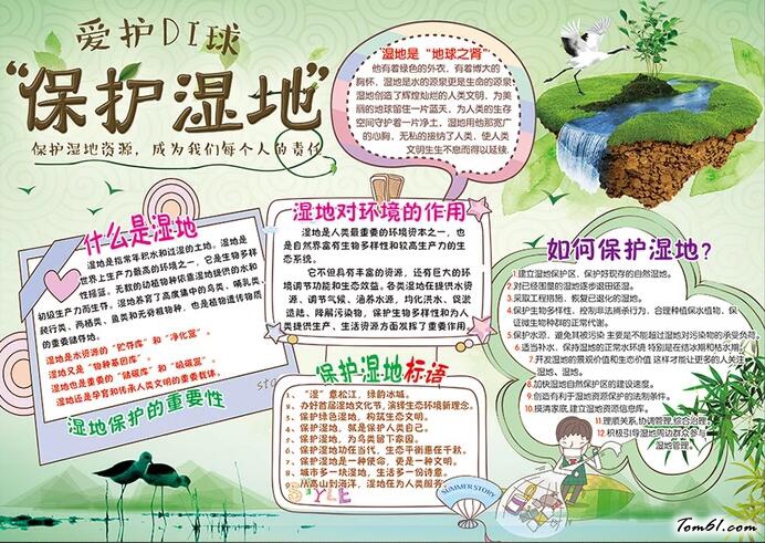 世界湿地日手抄报版面设计图5
