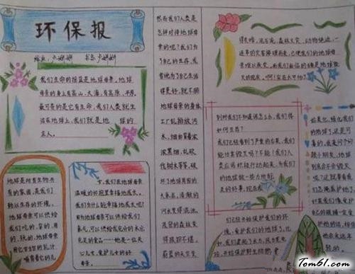 世界湿地日手抄报版面设计图7