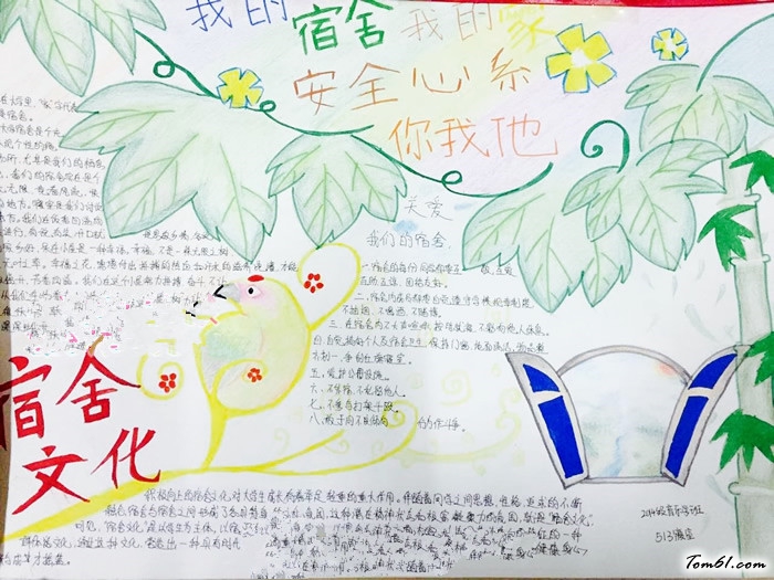 宿舍宣传手抄报版面设计图