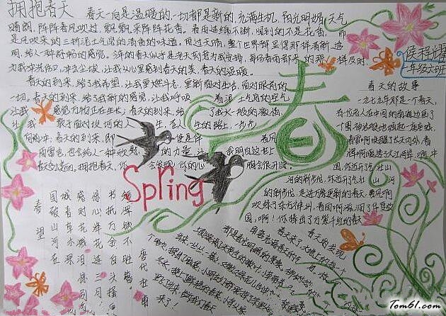 寻找春天手抄报版面设计图5