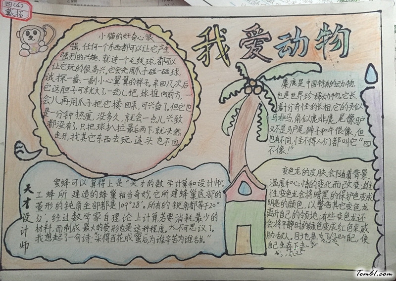 狗的手抄报版面设计图5