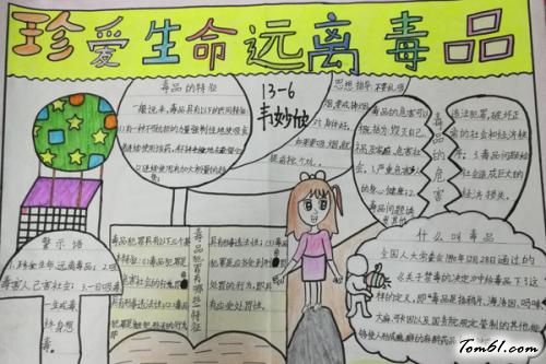 禁毒知识手抄报版面设计图2