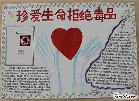 禁毒知识手抄报版面设计图4