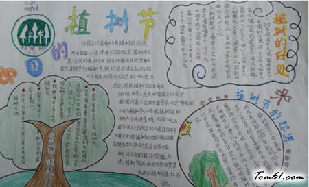 小学生植树节手抄报版面设计图8