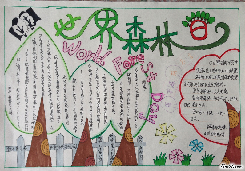 世界森林日手抄报版面设计图6