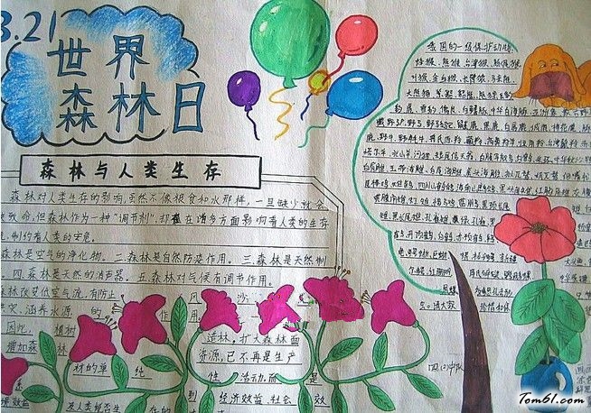 世界森林日手抄报版面设计图7