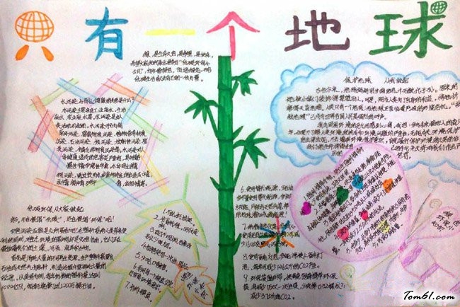 世界森林日手抄报版面设计图9