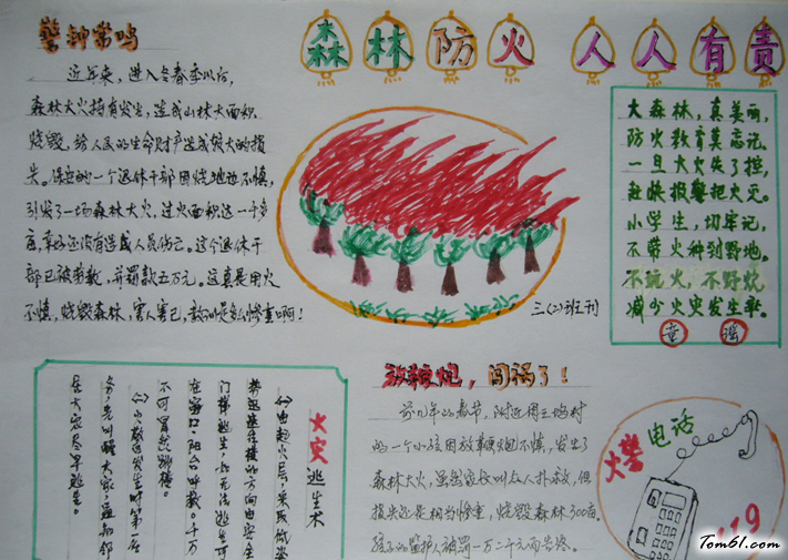 世界森林日手抄报版面设计图10