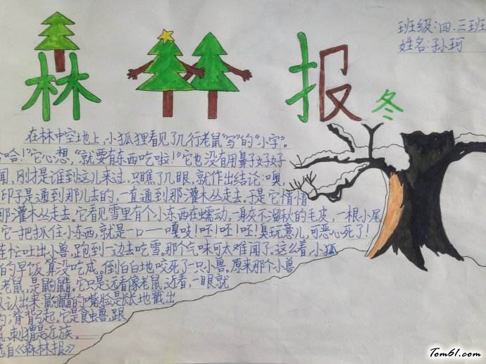 世界森林日手抄报版面设计图11